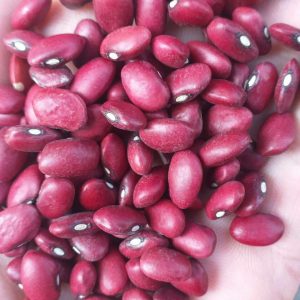 beans and dried fruit